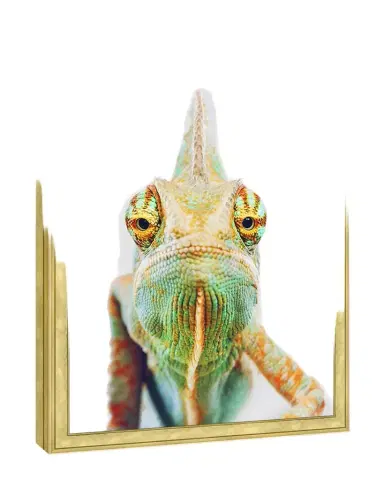 Wendover Art Group "Chameleon" Giclee | Thumbnail 1 Wendover Art Group "Chameleon" Giclee | Thumbnail 1