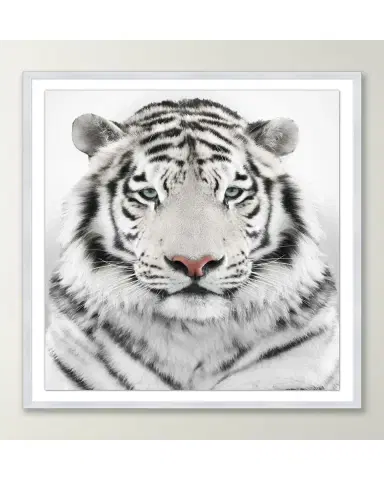 Wendover Art Group Snow Tiger Giclee | Thumbnail 2 Wendover Art Group Snow Tiger Giclee | Thumbnail 2