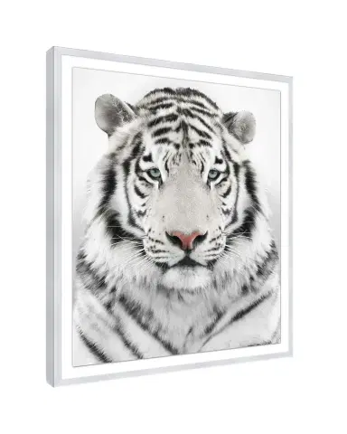 Wendover Art Group Snow Tiger Giclee | Thumbnail 1 Wendover Art Group Snow Tiger Giclee | Thumbnail 1