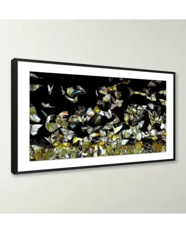 Wendover Art Group "Reflecting Butterflies 2" Giclee | Thumbnail 3 Wendover Art Group "Reflecting Butterflies 2" Giclee | Thumbnail 3
