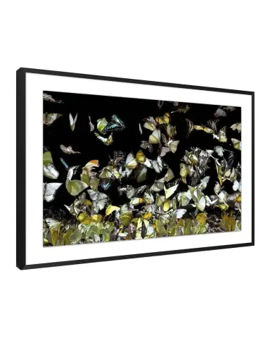 Wendover Art Group "Reflecting Butterflies 2" Giclee | Thumbnail 1 Wendover Art Group "Reflecting Butterflies 2" Giclee | Thumbnail 1