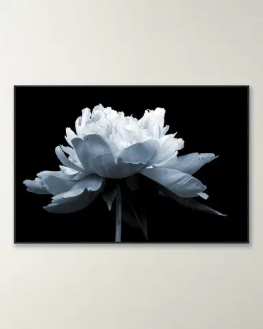 Wendover Art Group "Midnight Blossom 2" Giclee | Thumbnail 4 Wendover Art Group "Midnight Blossom 2" Giclee | Thumbnail 4