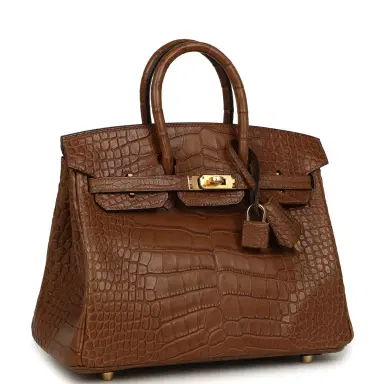 HERMÈS Hermes Birkin 25 Alezan Matte Alligator Gold Hardware | Thumbnail 2 HERMÈS Hermes Birkin 25 Alezan Matte Alligator Gold Hardware | Thumbnail 2
