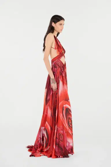 Roberto Cavalli Long Dress With Rose Print And Cut-Out | Thumbnail 2 Roberto Cavalli Long Dress With Rose Print And Cut-Out | Thumbnail 2