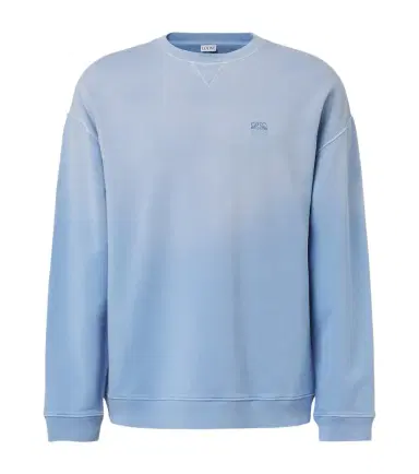 Loewe Anagram cotton jersey sweatshirt | Thumbnail 1 Loewe Anagram cotton jersey sweatshirt | Thumbnail 1