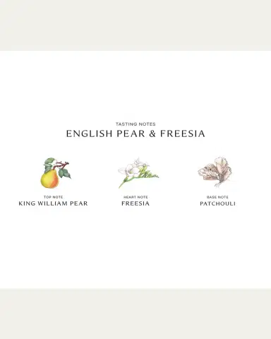 Jo Malone London English Pear & Freesia Home Candle, 7 oz. | Thumbnail 4 Jo Malone London English Pear & Freesia Home Candle, 7 oz. | Thumbnail 4