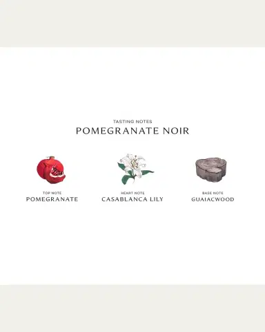 Jo Malone London Pomegranate Noir Diffuser | Thumbnail 3 Jo Malone London Pomegranate Noir Diffuser | Thumbnail 3