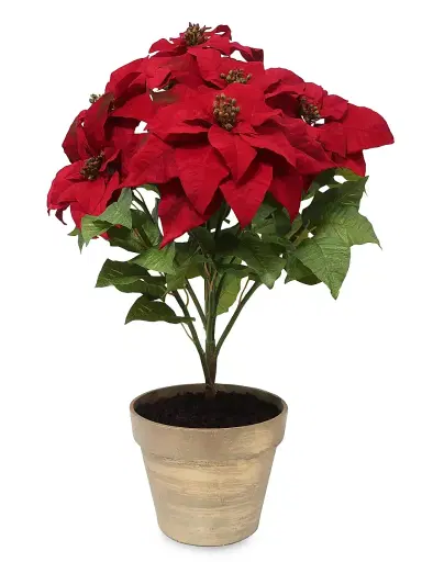 Winward Home Holiday Newness Potted Faux-Poinsettia Branch | Thumbnail 1 Winward Home Holiday Newness Potted Faux-Poinsettia Branch | Thumbnail 1