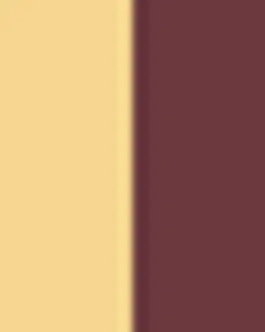 Bottega Veneta Andiamo Intrecciato Leather Belt | Thumbnail 4 Bottega Veneta Andiamo Intrecciato Leather Belt | Thumbnail 4