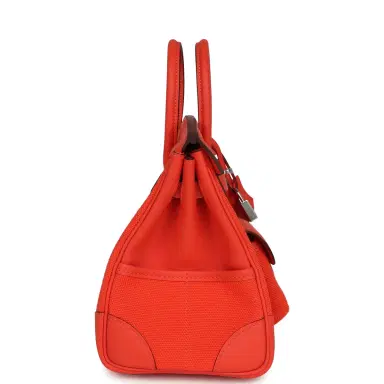 HERMÈS Hermes Birkin 25 Cargo Orange Field Toile Goeland and Swift Palladium Hardware | Thumbnail 3 HERMÈS Hermes Birkin 25 Cargo Orange Field Toile Goeland and Swift Palladium Hardware | Thumbnail 3