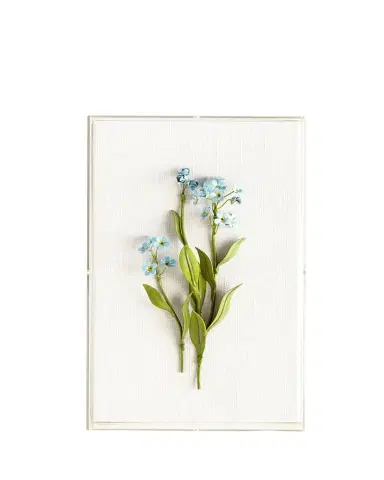 Tommy Mitchell Original Painted Forget-Me-Not Study | Thumbnail 1 Tommy Mitchell Original Painted Forget-Me-Not Study | Thumbnail 1