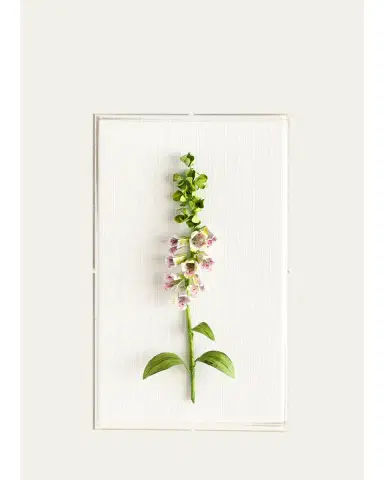 Tommy Mitchell Original Painted Foxglove Study | Thumbnail 1 Tommy Mitchell Original Painted Foxglove Study | Thumbnail 1