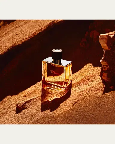 HERMÈS Terre d' Parfum, 2.5 oz. | Thumbnail 3 HERMÈS Terre d' Parfum, 2.5 oz. | Thumbnail 3
