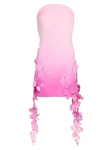 Acler Women's Forever Young Sandia Ombré Strapless Minidress - Taffy Ombre | Thumbnail 1 Acler Women's Forever Young Sandia Ombré Strapless Minidress - Taffy Ombre | Thumbnail 1