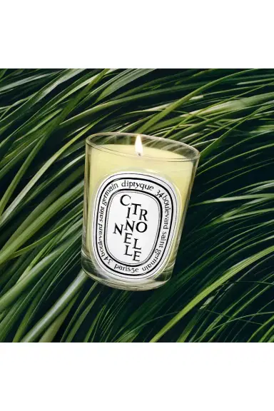 Diptyque Citronnelle Classic Candle | Thumbnail 2 Diptyque Citronnelle Classic Candle | Thumbnail 2