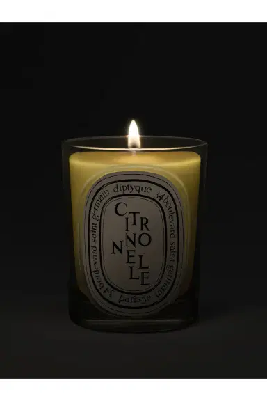 Diptyque Citronnelle Classic Candle | Thumbnail 3 Diptyque Citronnelle Classic Candle | Thumbnail 3