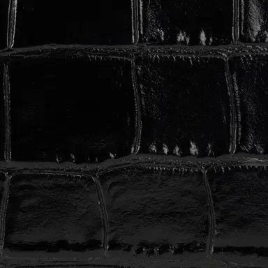 Roberto Cavalli Roar wallet with chain | Thumbnail 4 Roberto Cavalli Roar wallet with chain | Thumbnail 4