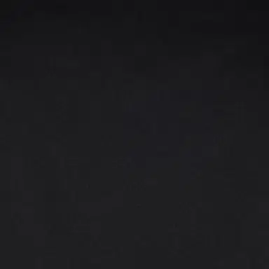 Roberto Cavalli Padded Bomber Jacket | Thumbnail 4 Roberto Cavalli Padded Bomber Jacket | Thumbnail 4