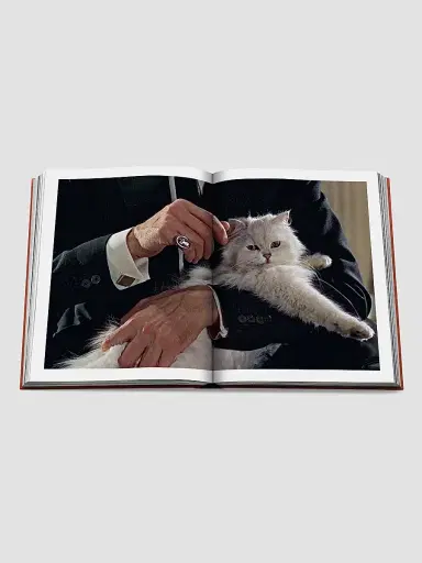 ASSOULINE "Chic Cats" Hardcover Book | Thumbnail 8 ASSOULINE "Chic Cats" Hardcover Book | Thumbnail 8
