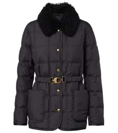Moncler Cygnes down jacket | Thumbnail 1 Moncler Cygnes down jacket | Thumbnail 1