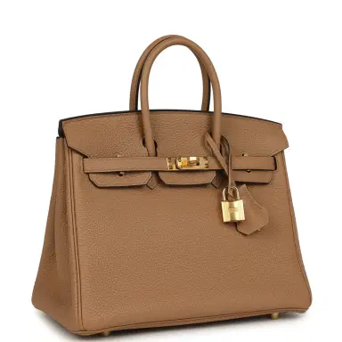 HERMÈS Hermes Birkin 25 Chai Togo Gold Hardware | Thumbnail 2 HERMÈS Hermes Birkin 25 Chai Togo Gold Hardware | Thumbnail 2