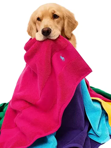 Ralph Lauren Polo Player Cotton Towel Collection - Sage Wash Towel | Thumbnail 8 Ralph Lauren Polo Player Cotton Towel Collection - Sage Wash Towel | Thumbnail 8