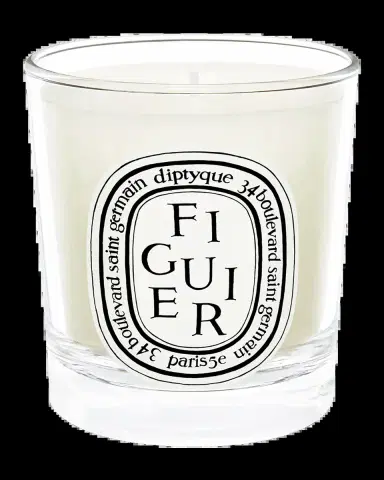 Diptyque Figuier (Fig) Scented Candle, 2.4 oz. | Thumbnail 2 Diptyque Figuier (Fig) Scented Candle, 2.4 oz. | Thumbnail 2