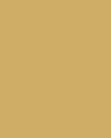 Visual Comfort Signature Argentino Large Sconce By Thomas O'Brien | Thumbnail 3 Visual Comfort Signature Argentino Large Sconce By Thomas O'Brien | Thumbnail 3