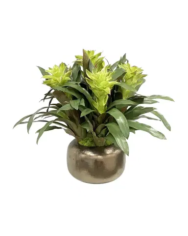 Winward Home Bromeliad Floral Arrangement in Artisanal Pot | Thumbnail 1 Winward Home Bromeliad Floral Arrangement in Artisanal Pot | Thumbnail 1