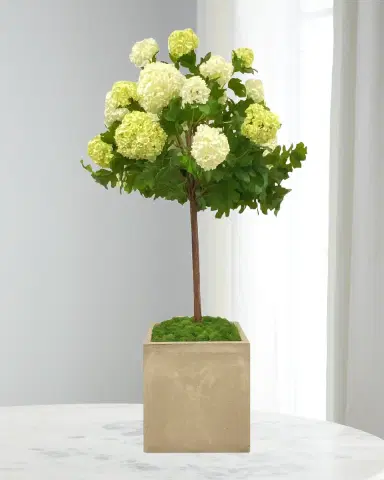 Winward Home Snowball in Square Pot | Thumbnail 1 Winward Home Snowball in Square Pot | Thumbnail 1