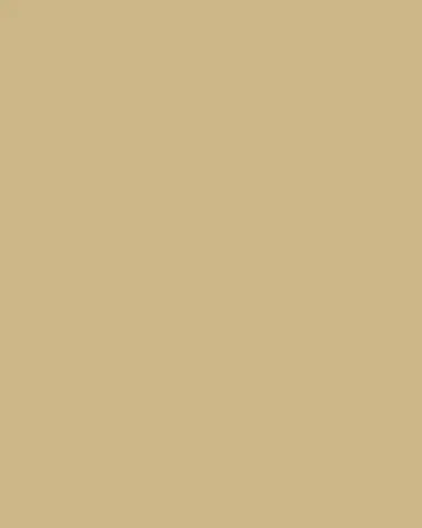 Visual Comfort Signature Strever 18" Shielded Sconce by Ralph Lauren | Thumbnail 3 Visual Comfort Signature Strever 18" Shielded Sconce by Ralph Lauren | Thumbnail 3