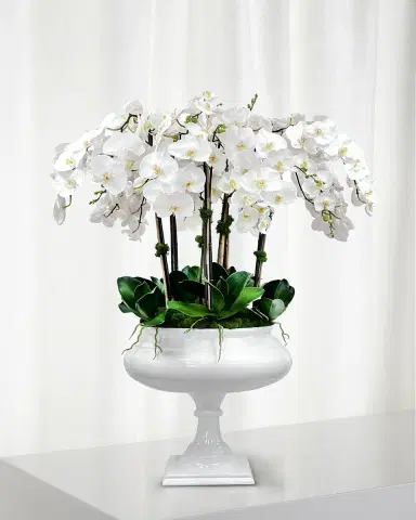 Winward Home Orchid 47" Faux Floral Arrangement in Footed Roman Planter | Thumbnail 1 Winward Home Orchid 47" Faux Floral Arrangement in Footed Roman Planter | Thumbnail 1