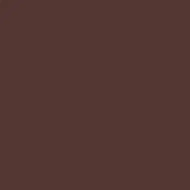 Brunello Cucinelli Lizard-Effect Leather Belt | Thumbnail 3 Brunello Cucinelli Lizard-Effect Leather Belt | Thumbnail 3