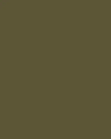 Burberry Boy's Trent Cotton Twill Cargo Shorts | Thumbnail 4 Burberry Boy's Trent Cotton Twill Cargo Shorts | Thumbnail 4