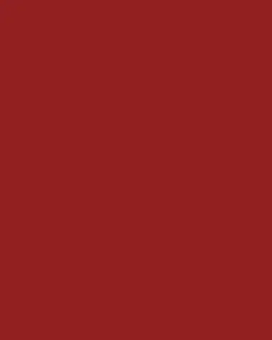 Christopher Radko Color Me Christmas Ornament | Thumbnail 4 Christopher Radko Color Me Christmas Ornament | Thumbnail 4