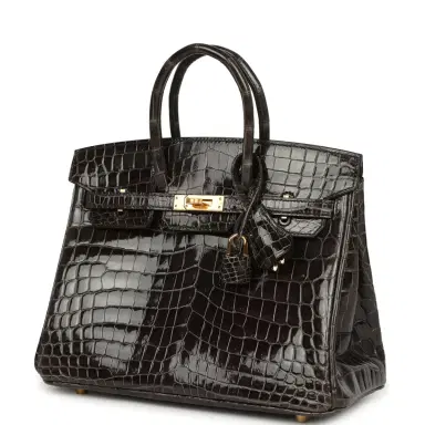 HERMÈS Hermes Birkin 25 Graphite Shiny Niloticus Crocodile Gold Hardware | Thumbnail 5 HERMÈS Hermes Birkin 25 Graphite Shiny Niloticus Crocodile Gold Hardware | Thumbnail 5