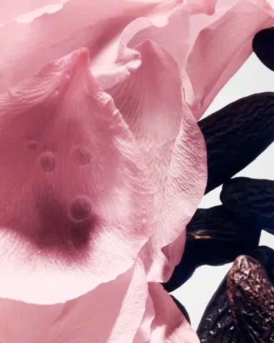 Balmain Beauty Rose De Soie Eau de Parfum | Thumbnail 3 Balmain Beauty Rose De Soie Eau de Parfum | Thumbnail 3
