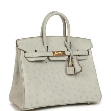 HERMÈS Hermes Birkin 25 Gris Perle Ostrich Gold Hardware | Thumbnail 2 HERMÈS Hermes Birkin 25 Gris Perle Ostrich Gold Hardware | Thumbnail 2