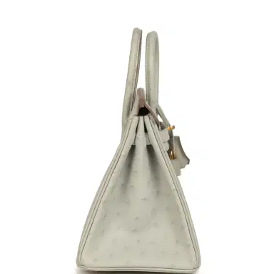HERMÈS Hermes Birkin 25 Gris Perle Ostrich Gold Hardware | Thumbnail 3 HERMÈS Hermes Birkin 25 Gris Perle Ostrich Gold Hardware | Thumbnail 3