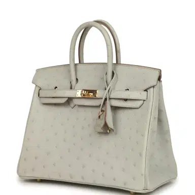 HERMÈS Hermes Birkin 25 Gris Perle Ostrich Gold Hardware | Thumbnail 5 HERMÈS Hermes Birkin 25 Gris Perle Ostrich Gold Hardware | Thumbnail 5