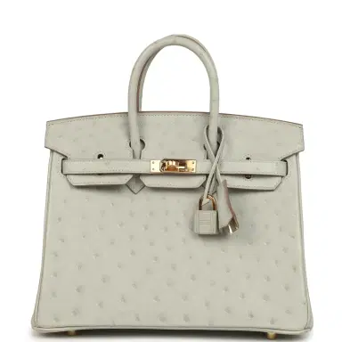 HERMÈS Hermes Birkin 25 Gris Perle Ostrich Gold Hardware | Thumbnail 1 HERMÈS Hermes Birkin 25 Gris Perle Ostrich Gold Hardware | Thumbnail 1