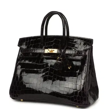HERMÈS Hermes Birkin 25 Prunoir Shiny Niloticus Crocodile Gold Hardware | Thumbnail 5 HERMÈS Hermes Birkin 25 Prunoir Shiny Niloticus Crocodile Gold Hardware | Thumbnail 5