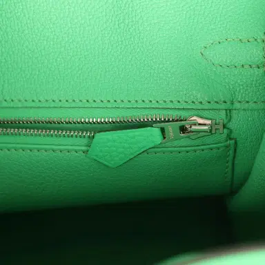 HERMÈS Hermes Birkin 25 Vert Comics Togo and Matte Alligator Touch Palladium Hardware | Thumbnail 9 HERMÈS Hermes Birkin 25 Vert Comics Togo and Matte Alligator Touch Palladium Hardware | Thumbnail 9