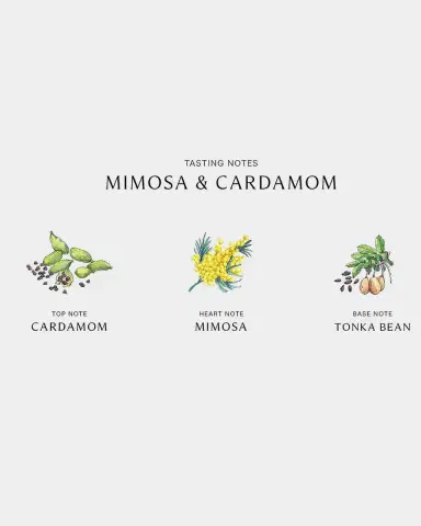 Jo Malone London Mimosa & Cardamom Cologne | Thumbnail 4 Jo Malone London Mimosa & Cardamom Cologne | Thumbnail 4