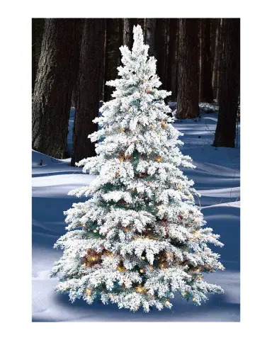 Barcana 8 ' Flocked Silvertip Pre-Lit Christmas Tree | Thumbnail 3 Barcana 8 ' Flocked Silvertip Pre-Lit Christmas Tree | Thumbnail 3
