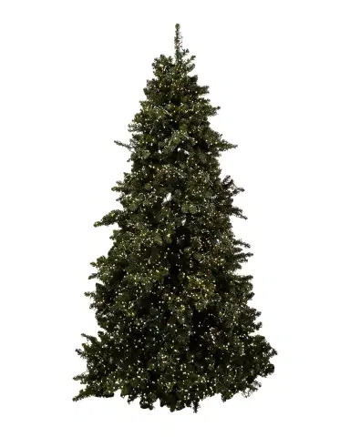 Barcana 9 ' Royal Majestic Pine Pre-Lit Christmas Tree with 8-Function Cluster Lights | Thumbnail 1 Barcana 9 ' Royal Majestic Pine Pre-Lit Christmas Tree with 8-Function Cluster Lights | Thumbnail 1