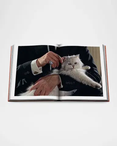 ASSOULINE "Chic Cats" Book by Brett Martin | Thumbnail 5 ASSOULINE "Chic Cats" Book by Brett Martin | Thumbnail 5