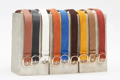 Gabriela Hearst Elster Belt in Golden Birch Suede | Thumbnail 4 Gabriela Hearst Elster Belt in Golden Birch Suede | Thumbnail 4