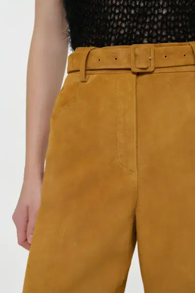 Gabriela Hearst Norman Wide-leg Pant in Cashew Suede | Thumbnail 6 Gabriela Hearst Norman Wide-leg Pant in Cashew Suede | Thumbnail 6