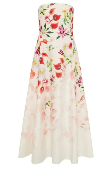 Gabriela Hearst Alessia Strapless Maxi Dress in Uruguayan Flowers Printed Linen | Thumbnail 1 Gabriela Hearst Alessia Strapless Maxi Dress in Uruguayan Flowers Printed Linen | Thumbnail 1